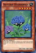 Naturia Hydrangea