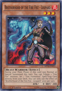 Brotherhood of the Fire Fist - Leopard - 2014 Mega-Tins Mega-Pack (Common) [MP14-013]