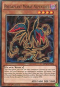 Predaplant Moray Nepenthes - 2017 Mega-Tin Mega Pack (Common) [MP17-132]