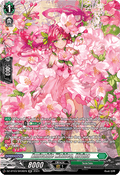 Amicable Maiden, Alvina  (V.3 - Silver Rare) - Dimensional Transcendence (Silver Rare) [DZ-BT03-SR36]