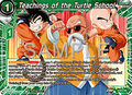Teachings of the Turtle School - Promos (Promo) [P-670]