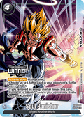 Soul Punisher (FB05-116)  (V.1 - Uncommon) - Special Tournament Promos [Fusion World] (Uncommon) [STPFW-FB05-116]