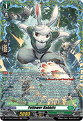Follower Rabbits  (V.2 - Frame Rare) - Super Brave Detonation (Frame Rare) [DZ-BT09-FR42]