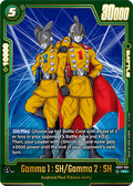 Gamma 1 : SH/Gamma 2 : SH (FB07-051)  (V.2 - Alternate Art) - Wish for Shenron [Fusion World] (Alternate Art) [FB07-051]