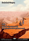 Sunbaked Canyon - Avatar: The Last Airbender: Eternal (Mythic) [TLE-58]