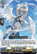 Expert Closure Angel - Chasm of Lost Souls (Common) [DZ-BT12-101]