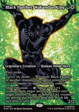 Black Panther, Wakandan King