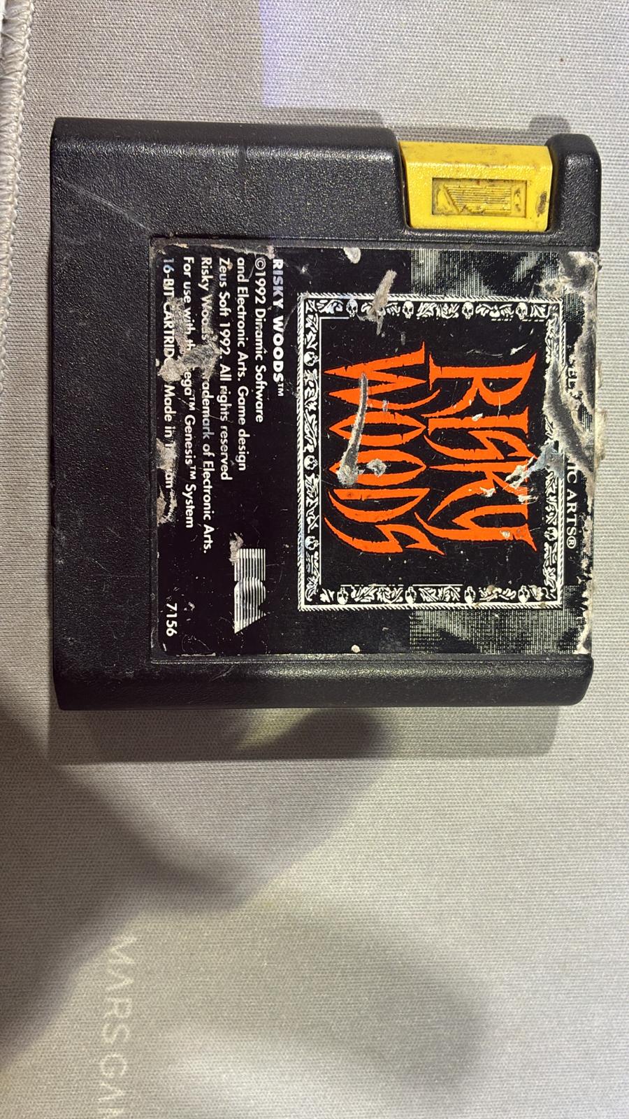 Risky Woods  (Sega Genesis)